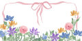 Image Not Available